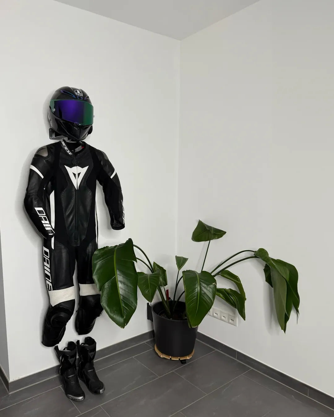 Kunden-Setup mit SUITBASE®